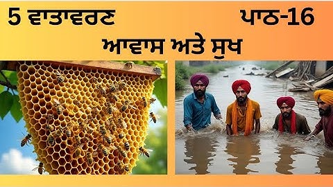 5th CLASS EVS LESSON-16(ਸਮੂਹ ਅਤੇ ਸੁਖ ) BOOK READING, EASY SOLVED ANSWERS 