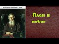 Владимир Иванович Даль.  Плен и побег. аудиокнига.