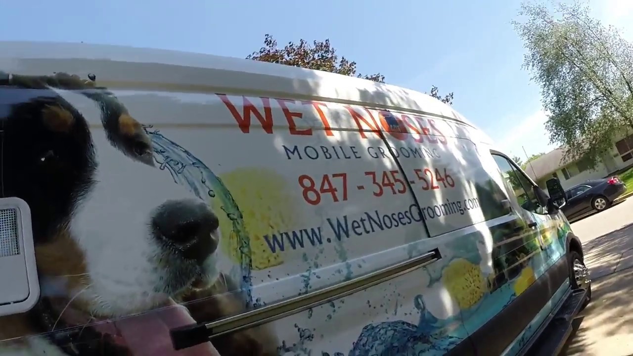 wet dog mobile grooming