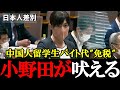 【自民党・小野田紀美】なぜ日本人学生だけ損をするの？中国人留学生のバイト代“免税優遇”に疑問！【2022年6月13日参議院決算委員会】