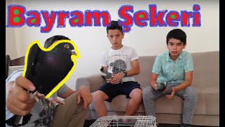 Download lagu Bayram Şekeri Güvercinler Onur ve Arkadaşıyla Bayramlaştık Herkesin Bayramı Kutlu Olsun Bayram Şekeri Güvercinler Onur ve Arkadaşıyla Bayramlaştık Herkesin Bayramı Kutlu Olsun