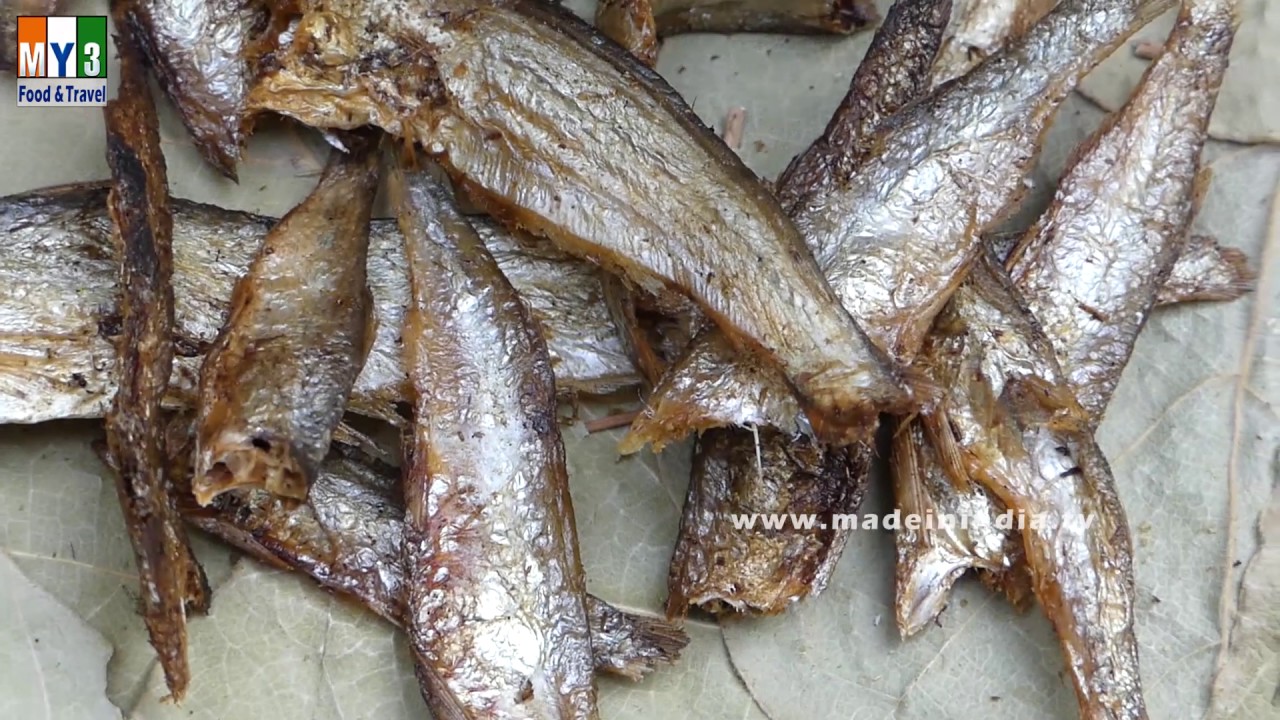 BOTTLE GOURD RECIPE WITH DRY FISH | INDIAN VILLAGE RECIPES street food | STREET FOOD