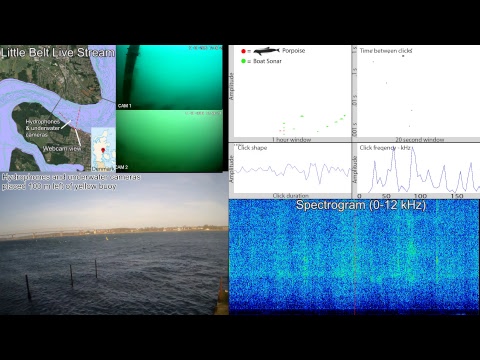 SEICHE WATER TECHNOLOGY GROUP LTD Live Stream