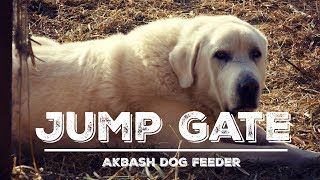 Jump Gate Modification   Revisiting the Automatic Livestock Guardian Dog Feeding Station