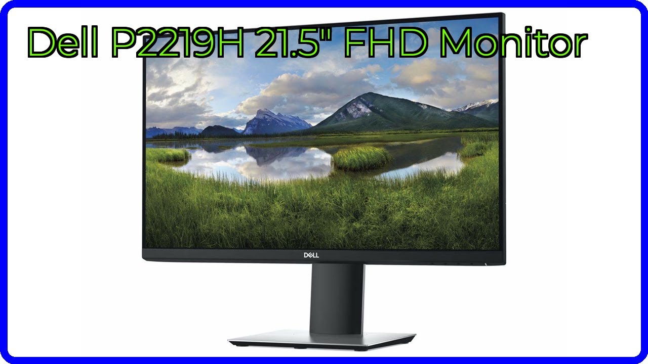 REVIEW (2026): Dell P2219H 21.5