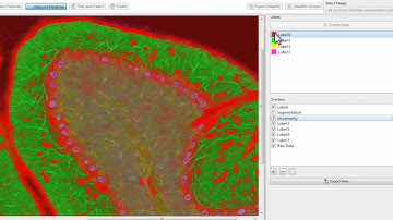 ilastik 0.5: Live Prediction and Batch Process on 2D Images