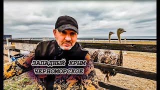 Черноморское сегодня 2024 Парк Комсомольский Набережная Прогулка по посёлку Мостки и Страусы