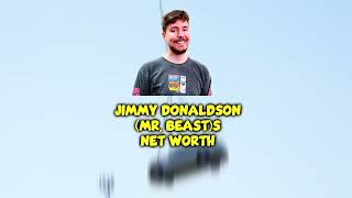 How much is Jimmy Donaldson (Mr. Beast) worth?