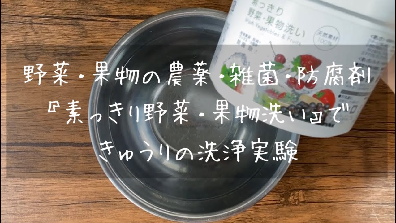 実験 ホタテのパワーで野菜の残留農薬を洗ってみたら驚愕だった 素っきり野菜 果物洗い プレマチャンネル Youtube