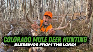 Colorado Mule Deer Hunting - A Monster Mule Deer Buck AND Two does!
