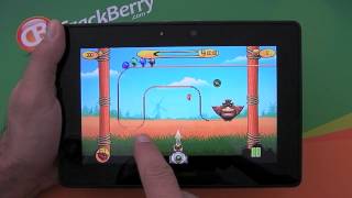 Birds on a Wire for BlackBerry PlayBook screenshot 1