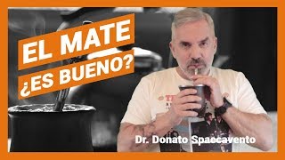 Tomar MATE es BUENO O MALO? | Ventajas y Desventajas de la YERBA MATE