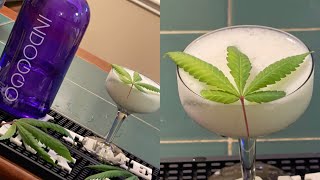 SNOOP DOGG INDOGGO GIN CANNABIS COCKTAIL “THE LAID BACK”