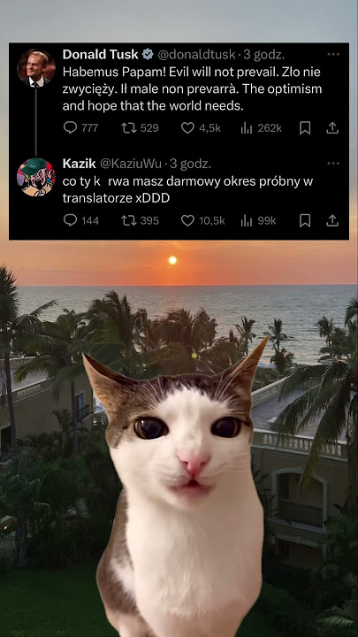 Darmowy okres próbny w translatorze?? #memy #polska #fyp #viralshorts #humor