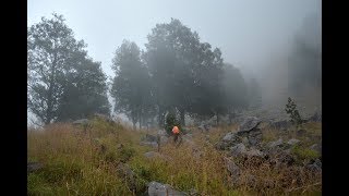 Mount Rinjani via Senaru Track