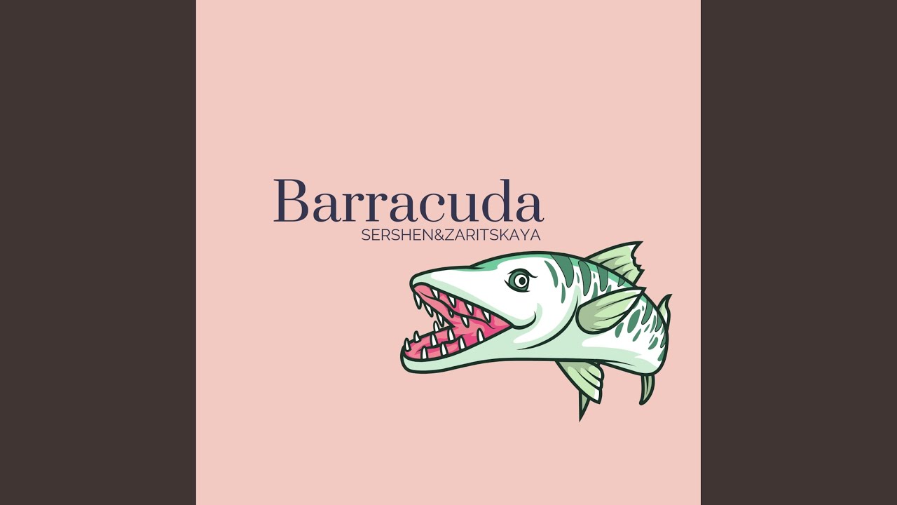 Barracuda YouTube