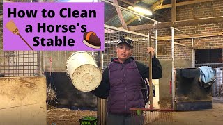 How to Clean a Horse's Stable | Clean With Me