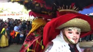 Comunidad de Necoxtla realizará II Festival de la Lengua Materna