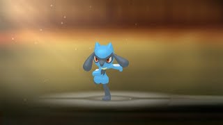 Pokédex #447: Riolu