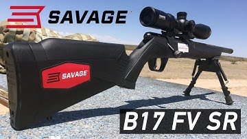 Cover Image for Savage Arms B17 FV SR Review