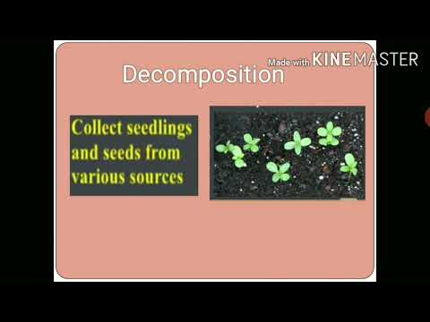 6th - Computer - 04.05.2020 - Ch - 1 - Computational Thinking (Components with example)