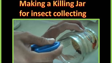 Totally Raw Video - Making a Killing Jar in FOR 31 - UPLB CFNR