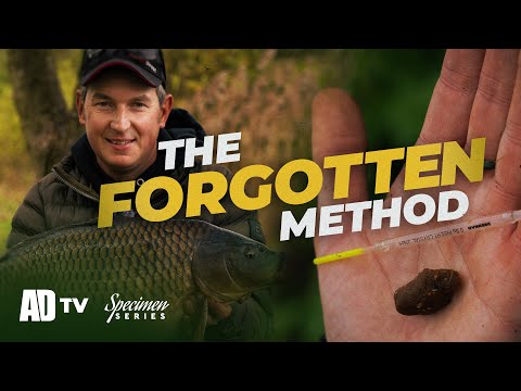 Margin Carp Fishing On The Float - Specimen Series