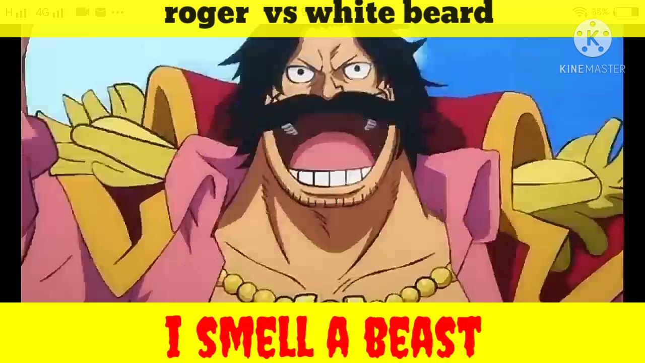 one piece episode 966