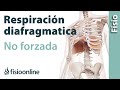 Respiración diafragmática o abdominal no forzada