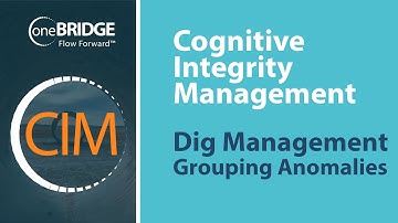 07 Dig Management Grouping Anomalies - Cognitive Integrity Management