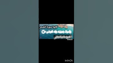 تلاوة سورة الضحى|بصوت الشيخ ماهر المعيقلي #ماهر_المعيقلي #سورةالضحى#خشوع وراحة نفسية#ارح سمعك