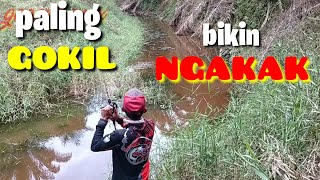 video lucu mancing bikin ngakak // casting gabus screenshot 4