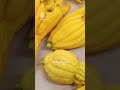 حمضية لها أصابع ولا عصير فيها.. فلماذا يطلبها كبار الطهاة؟