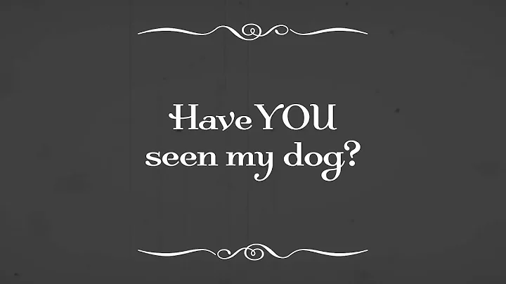 Dog Gone