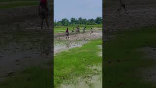 cholo bela din gulo thik e rokom vabe kete geche,, akhon khub ichhe hoy fire pete💞💞🥹🥹❤️ please#short
