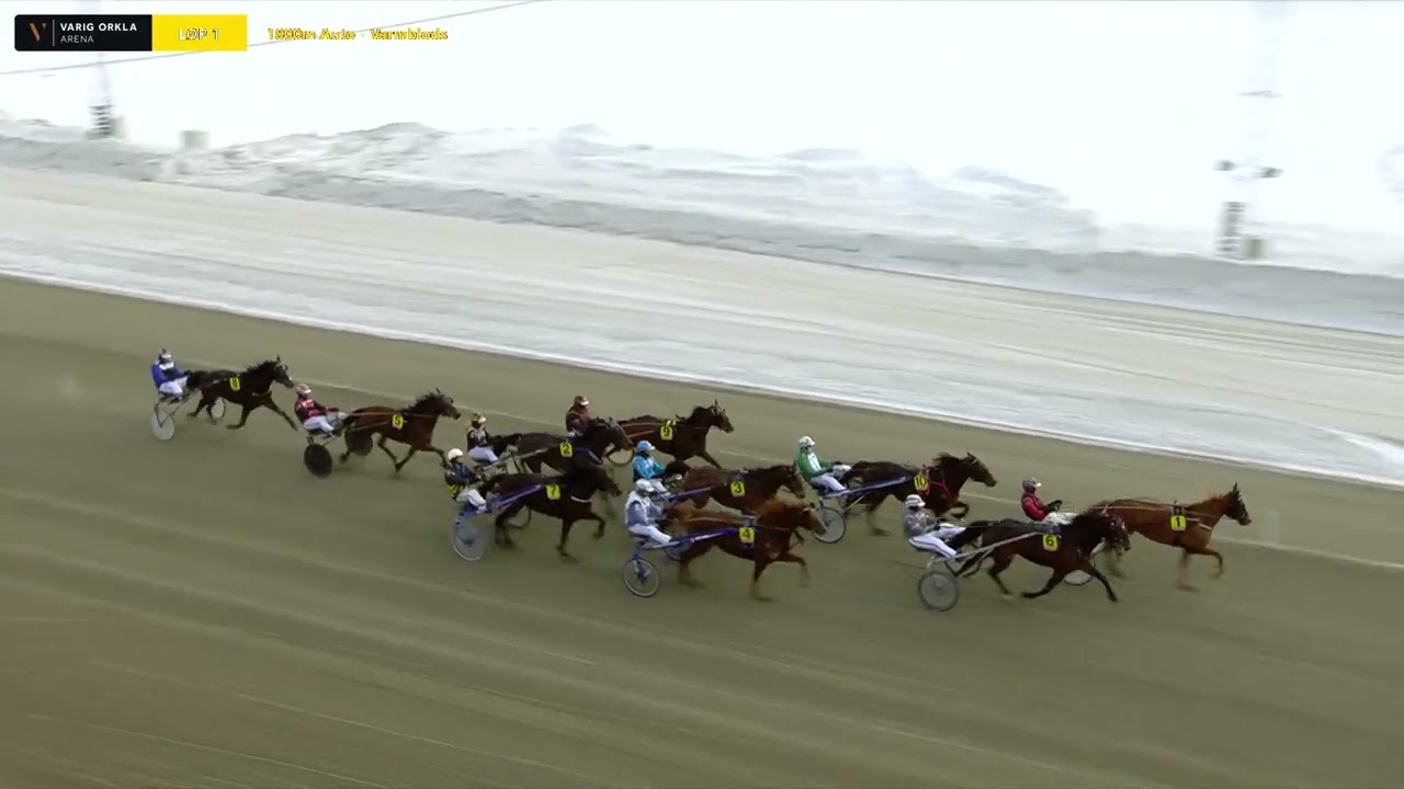 Varig Orkla Arena - Mandag 23. februar 2026 - Løp 1