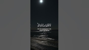 سورة الزمر هزاع البلوشي #قرآن