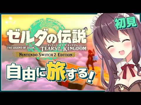 【ティアキン】寄り道大好きがついにメイン進めてる！実況【ゼルダの伝説ティアーズオブザキングダム VTuber 女性実況 なちゅモカ】161