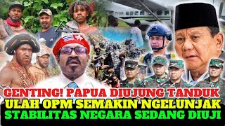 GENTING! Sekolah Ditembaki, Pesawat Sipil Diserang, OPM Semakin Berulah Negara Sedang Diuji Di Papua