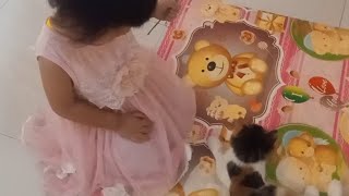PAGI BERSAMA KUCING KU DAN GADIS KECIL MANIS