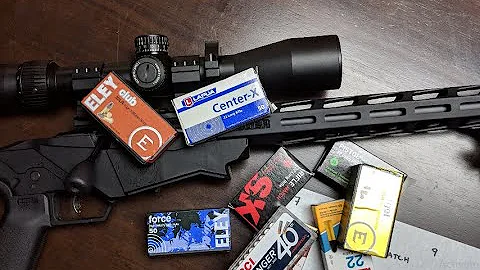 Ruger Precision Rimfire ammo comparison Part 2