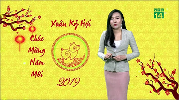 Thời tiết cuối ngày 08/02/2019 (mùng 4 Tết) | VTC14