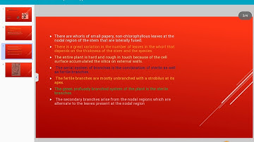 Practical protocol, Aim: Study of external morphology of Equisetum