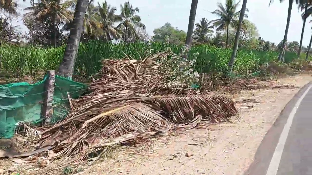 Sale agriculture Or commercial land on 1 acrs 20 gunta black and brown soil Hullahalli 4 