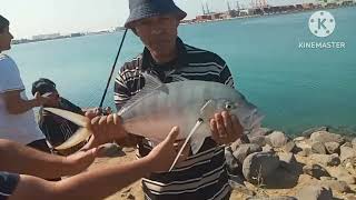 صيد بياض ضخم من شاطئ جدةHuge whitefish hunting from Jeddah beach