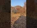 #lawnmowerrobot #lawnmowingbusiness #lawnmowerman #farming #lawnmowerracing