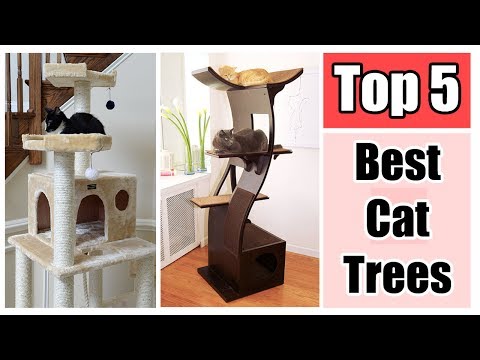 top-5-best-cat-trees-reviews---armarkat-cat-tree-furniture-condo