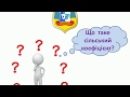 Сільський коефіцієнт 2018. Що завантажити в кабінет?