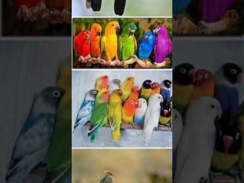 مبارك عليكم شهر رمضان 55