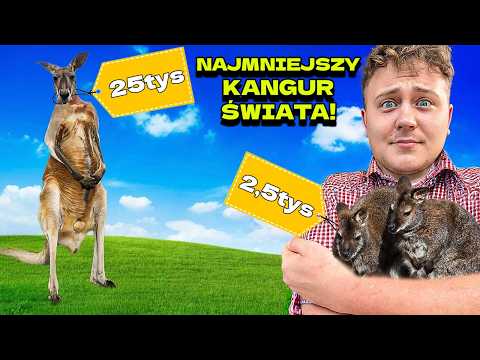 NAJMNIEJSZY KANGUR NA ŚWIECIE!